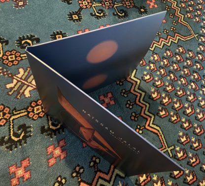 Healing Rituals - VINYL – Image 5