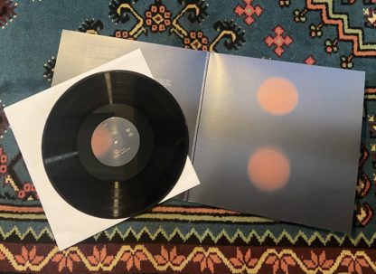 Healing Rituals - VINYL – Image 7
